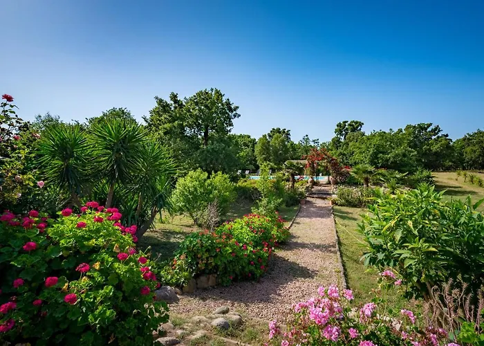 Gelormini-1 By Interhome *