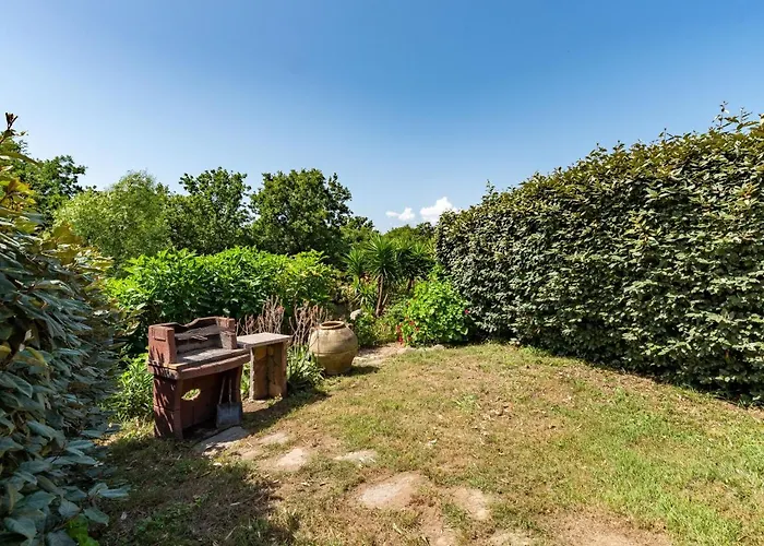 Gelormini-1 By Interhome Villa Prunelli-di-Fiumorbo
