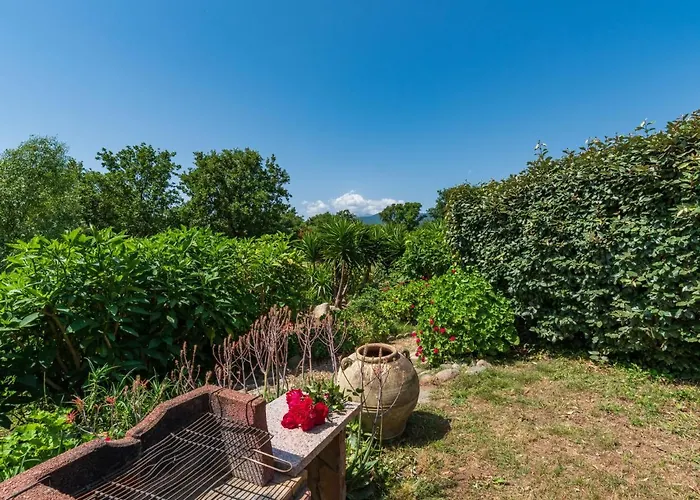 Gelormini-1 By Interhome Prunelli-di-Fiumorbo