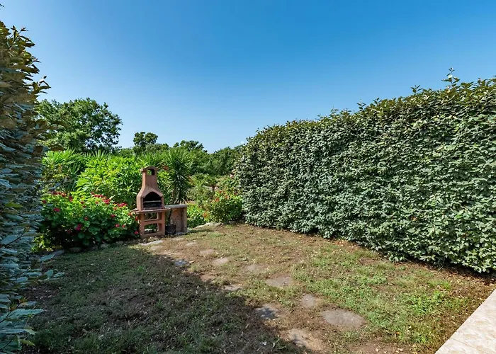 Gelormini-1 By Interhome Prunelli-di-Fiumorbo